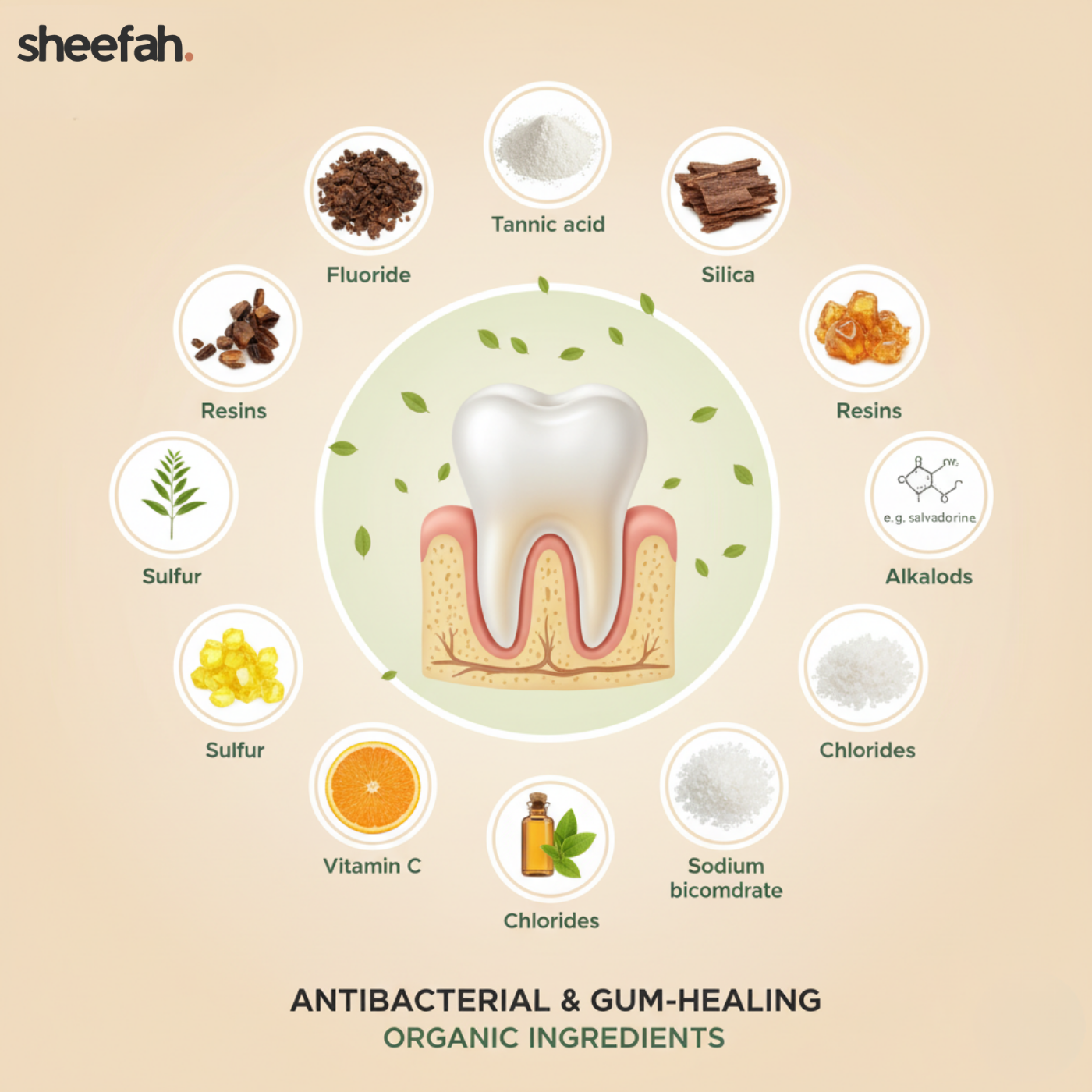 Sheefah™ Miswak Whitening Pro